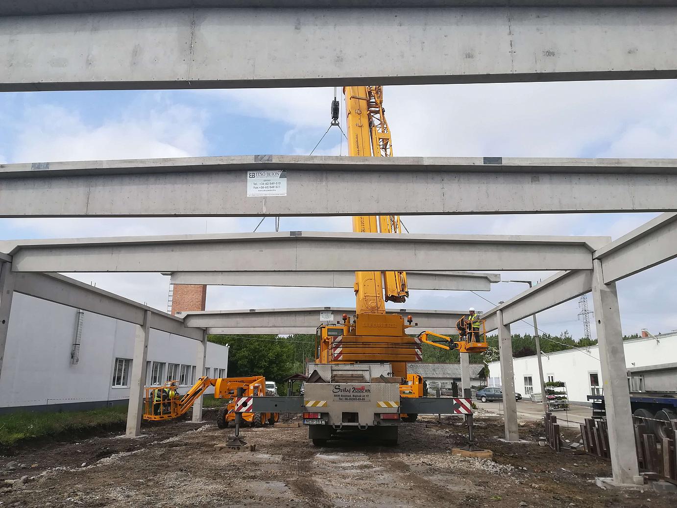 Szolnok szárazvirág kötő és előkészítő csarnok